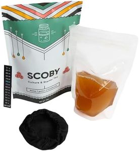 Craft A Brew - Kombucha Bundle - Includes SCOBY, Elastic Kombucha Jar Cover & Fermometer - Easy for Beginners - Fermentation & Kombucha Homebrew - Makes 1 Gallon Batch of Kombucha