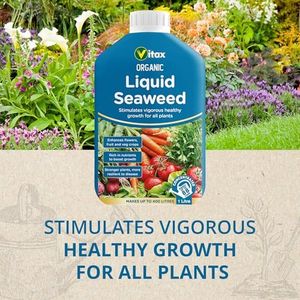 Vitax Organic Liquid Seaweed Fertilizer, 1L – Concentrated Plant Feed