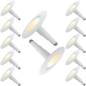 Jolux 12-P