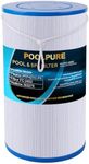 POOLPURE Spa Filter Replaces Watkins 303279, PFF42TC-P4, 78460, FC-2402, Lifesmart, Freeflow, AquaTerra, Hydromaster, Grandmaster, Simplicity, Bermuda Hot Tub Filters (2PACK)