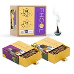 PHOOL LUXURY INCENSE Pack Of 2 Natural Incense Cones, Meditation Pack - 80 Organic Dhoop Cones | Fragrances - Nagchampa & Patchouli | Dhoop Cones For Pooja | Free Dhoop Stand Inside