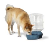 Aspen Pet LeBistro Gravity Waterer for Cats and Dogs, Made in USA