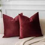 JUSPURBET Pack of 2,Velvet Decorati