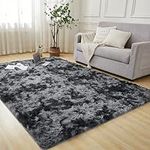 Andency 4x6 Shag Area Rug for Livin
