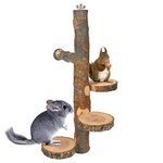 YKD Chinchilla Large Hanging Wooden Rotating Platform - Small Animals Natural Fruit Wood Standing Platform - Squirrel Suger Glider Platform - Bird Perch Platform