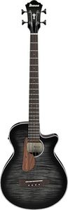 Ibanez AEG