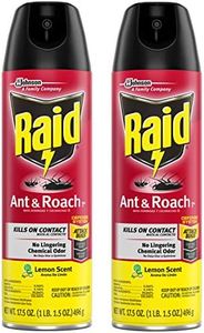 Raid Ant &
