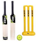 Cricket Set For Kids Age 9