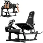 Mikolo Leg Extension and Curl Machi