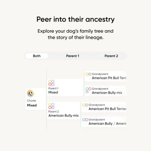 Embark Dog DNA Breed Test Kit – Accurate Canine Genetic Analysis