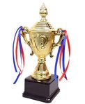 Toyshine Trophy Cup for Sport Tournaments, Competitions (PC-33 L) 8.25inch, Golden SSTP