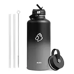 Insulated Water Bottle with Straw L