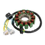 GOOFIT 12 pole Magneto Stator Coil Ignition Generator Replacement For GT250 GV250 2002-2010