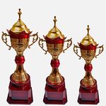 BAREEZE PURE Red Gold Metal Trophy for Event Such asTrophy for Cricket Tournament, Sport, Academy, Awards, School Trophy