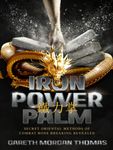 Iron Power Palm: 97 days to skull smashing power