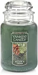 Yankee Candle Balsam & Cedar Scente