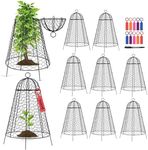 TANIVO Garden Cloches for Plants (P