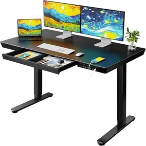 ErGear Standing Desk with Drawer, Glass Top One Piece, 48x24 inch Height Adjustable Desk, Electric Standing Desk with Charging Ports, Sit Stand Up Desk for Home Office(Black Glass Top)