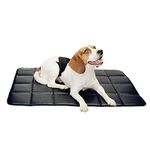 Fluffy's Luxurious Durable Waterproof High-Density PVC Material Cotton Inside Indoor/Outdoor Travel Pet Crate Mat for Puppy/Cats/Dog (Black, Medium)