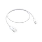 Apple Lightning to USB Cable (0.5 m