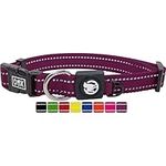 DDOXX Reflective Nylon Dog Collar - Strong and Adjustable Collars Dogs - M (Purple)