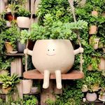 Swing Face Planter Pot Flower Pot Wall Hanging Planters for Indoor and Outdoor Plants Smile Face Swing Flowers Pot Flower Pot with Unique Face Design (1)