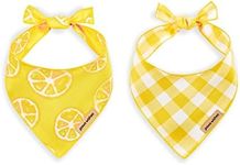 Paws Wishes Dog Bandana 2 Pack, Lemon Slice and Yellow Plaid Set Lemon Festival, Pet Friendly Design, Hair and Water Resistant, Adjustable Dog Scarf for Small Boy Girl Dog