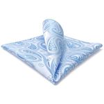 Shlax&Wing Paisley Silver White Blue Pocket Square For Men Fashion Hankies