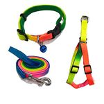 Woofy Durable Nylon Colourful Rainbow Adjustable Puppy Leash Harness & Collar Perfect for Dog, Puppy Leash and Harness Training, Walking Small