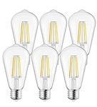 Brightown LED Edison Light Bulbs，6P