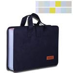 Antner 13 Pockets Expanding File Folder Document Organizer with Handle, Large Capacity Accordian File Organizer Portable A4 Letter Size File Folders for Office, Business, School or Home, Black