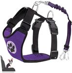 Lukovee Dog Seat Belt for Car, Adjustable Dog Car Harness for Large Medium Small Dogs, Soft Padded & Breathable Mesh Dog Seatbelt with Car Strap and Carabiner(Purple Double Clip,X-Small)