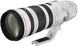 Canon EF 200-400mm f/4L IS USM Exte