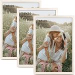 Momentworth 16x24 Picture Frame, 3 Pack Woodgrain, Picture Frames Collage Wall Decor or Table Top Display, White