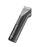 Wahl Arco Clippers