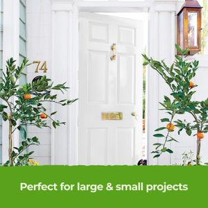 THE ONE White Satin Paint 250ml – Interior Multi-Surface Finish