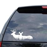 ARWY car sticker car stickers exterior animal car sticker animal Vinyl Family Wall Window Car Bike Sticker, White standard size