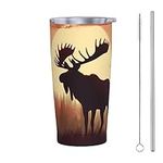 Dujiea 20oz Tumbler With Lid And St