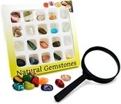 BEADNOVA Gemstone Rock Collection Kit for Kids Geology Science Learning with Magnifier Reading Glass (Pack of 20pcs)