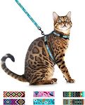 CollarDirect Adjustable Cat Harness and Leash Set for Outdoor Walking Pattern Harnesses for Small Dogs Puppy (Floral, XS)