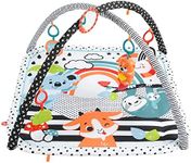 Fisher-Price Glow & Grow Gym Baby P