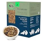 FLYGRUBS Superior to Dried Mealworm