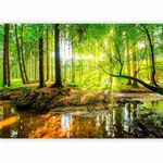 murando - Photo Wallpaper Landscape 350x256 cm - Non-Woven Premium Art Print Fleece Wall Mural Decoration Poster Picture Design Modern - Nature Forest Nature Tree Branches Green Water c-B-0241-a-a