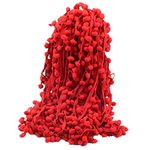 20 Yards Pom Poms Fringe Ball Trim Sewing Ribbon Embroidered Lace Tassel Applique for Clothing Accessories Bedding Quilting Crafts Supplies (Red)