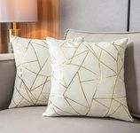 YONGLIU Pack of 2 Velvet Cushion Cases Decorative Gold Foil Geometric Pattern Throw Pillow Covers for Modern Homes Sofa Bedroom Couch Car Living Room(White and Gold, 18“X18”)