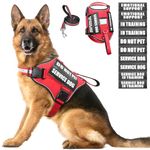 Service Dog Harness and Leash Set, Training Dog Vest with 10 Dog Patches, Emotional Support Therapy Dog Vest Harness for Small Medium Large and Extra Large Dogs(Red, XL)