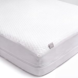 23 Threads Plush Waterproof Zippered Mattress Encasement, Queen 15 in | X162 Series, Padded Premium Waterproof Mattress Cover Queen Size, Washable, Noiseless, Ctrl+Z Technology, TPU Underlayer