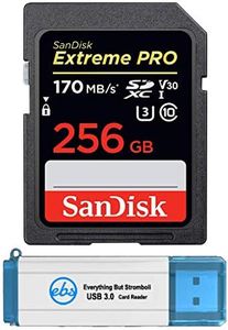 SanDisk Ex