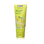 Freeman Facial Mint & Lemon Clay Mask 6 Ounce (177ml) (3 Pack)