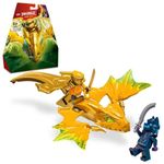 LEGO NINJAGO Arin’s Rising Dragon Strike Toy 71803 ( 27 Pieces)